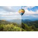 Adobe Photoshop Elements 15 et Premiere Elements 15 | Standard | PC/Mac | Disk