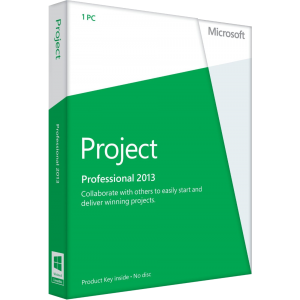 Microsoft Project Professional 2013