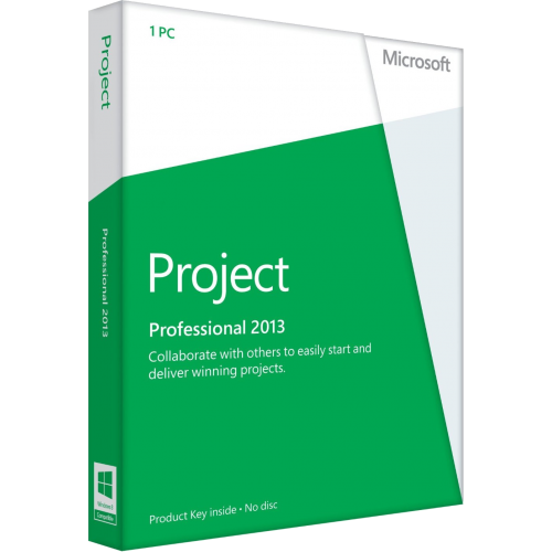 Microsoft Project Professional 2013