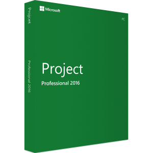 Microsoft Project Professional 2016