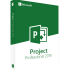 Microsoft Project Professional 2019
