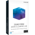 SOUND FORGE Audio Cleaning Lab | Digital (ESD/EU)